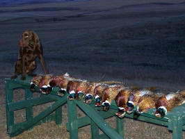 Bird hunting harvest at the lodge